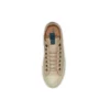 Chuck Taylor All Star “Beige Marrone”