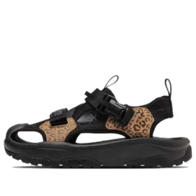 MSD CP “Marrone Nero”