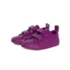 One Star 2V “Viola”