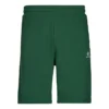 Pantaloncini in pile Go-To con motivo a stella e chevron ricamati, vestibilità standard, taglie asiatiche “Verde”