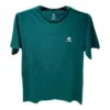 T-shirt Go-To con stella ricamata e motivo a chevron, vestibilità standard, taglie asiatiche “Green”